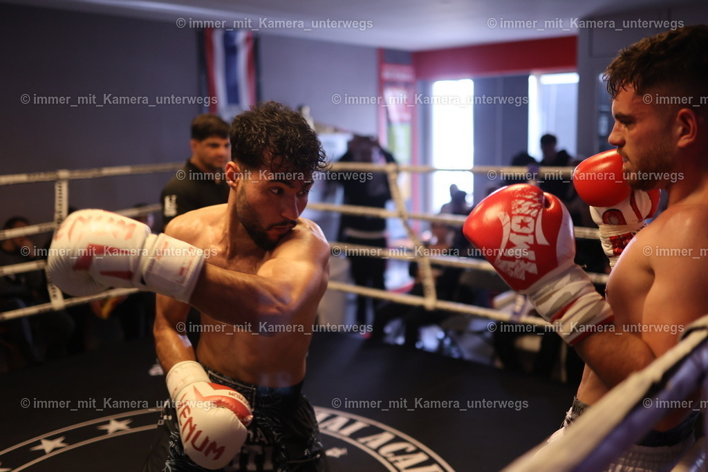 N39A4556 | immer_mit_kamera_unterwegs