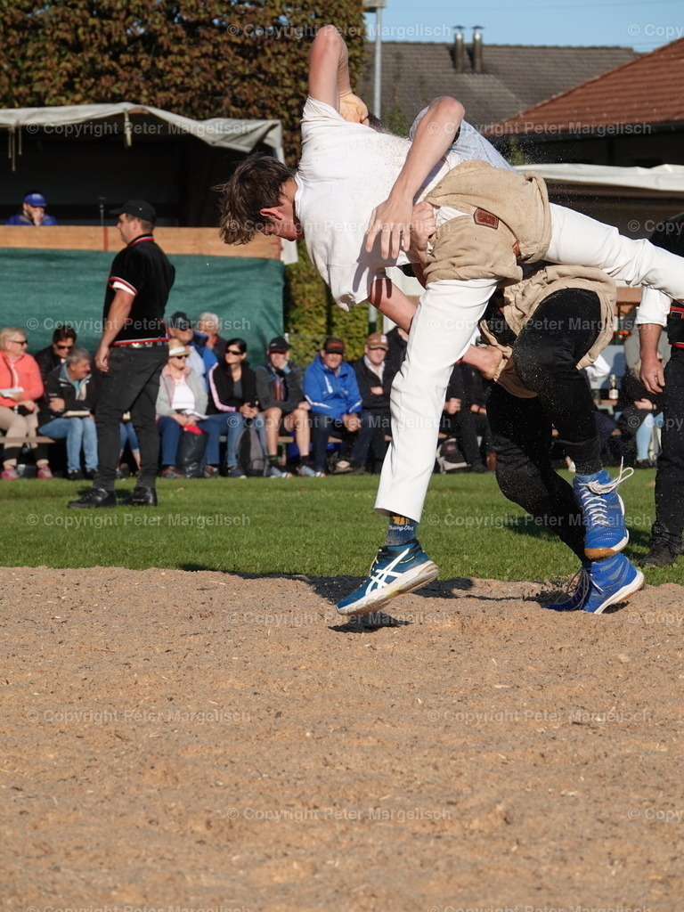 DSC05524 | Schwingen - Realisiert mit Pictrs.com