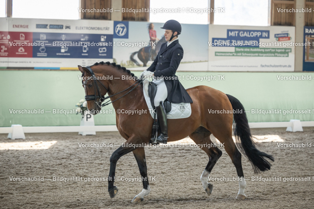 _D5A9782 | Emotionale Pferde- & People-Fotografie rund um Heidelberg, Leimen & Umgebung. Natürliche Fotos von Pferd, Mensch & Familie. Jetzt Termin sichern!