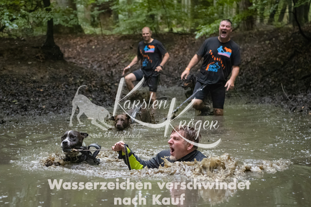 0958_ZZ91648-Bearbeitet | kk-dogfotos