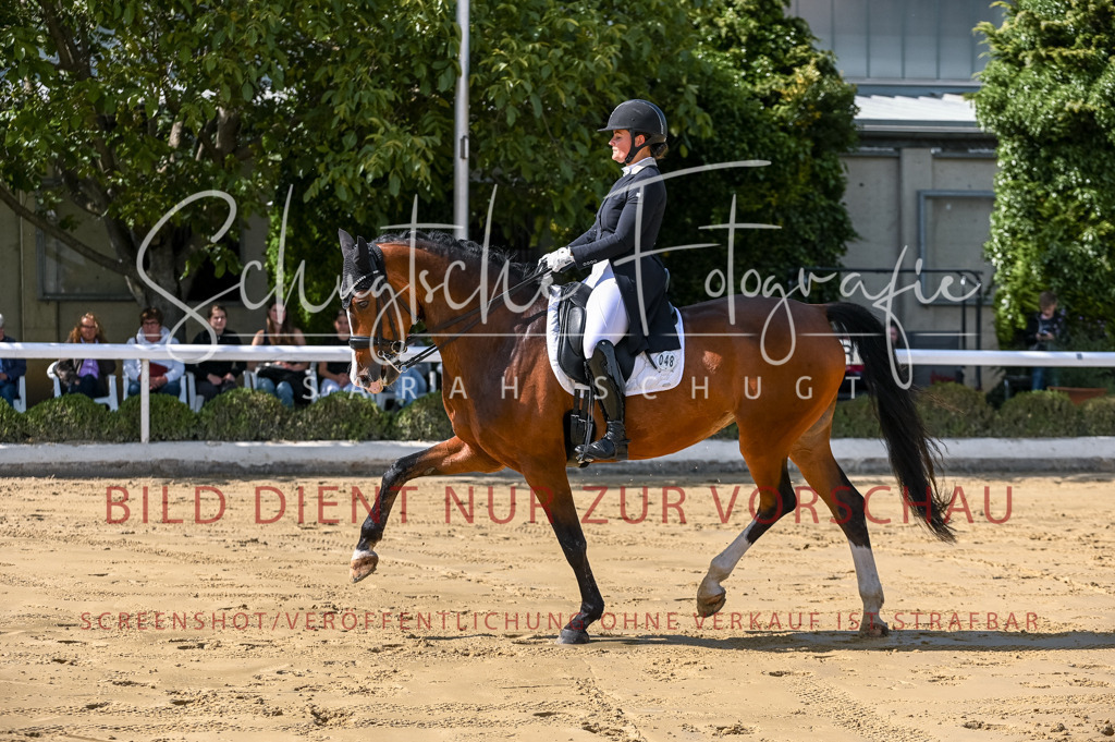 Schugtsche-Aluta25-58. Dressurprf.S1Kand.St.GeorgSpecial-244 | Schugtsche Fotografie - Realisiert mit Pictrs.com