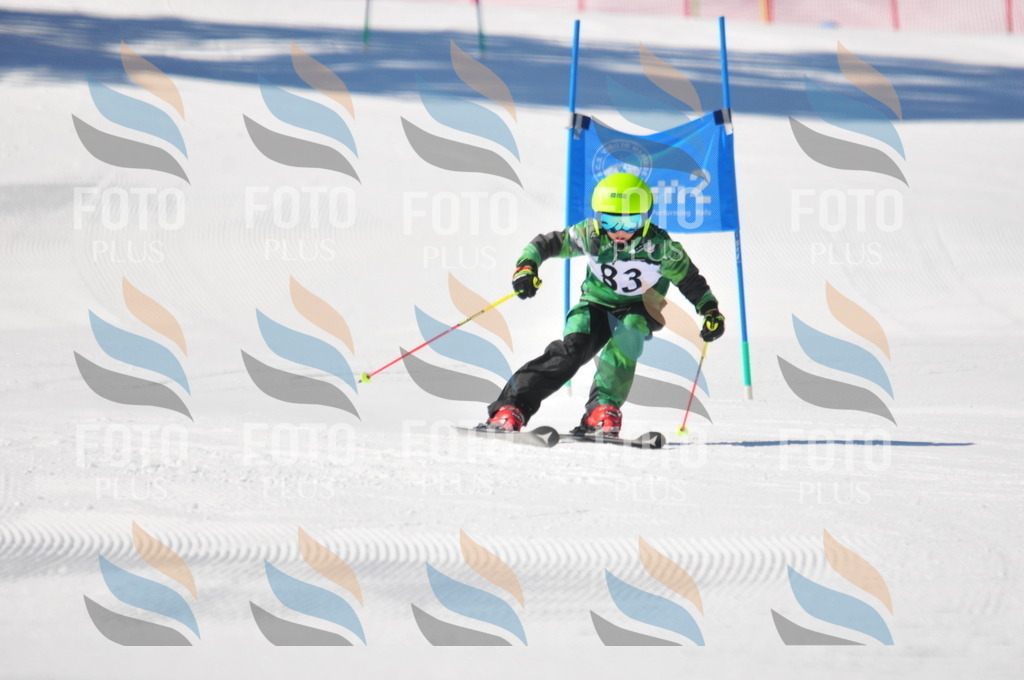 C3115 | holidayphoto