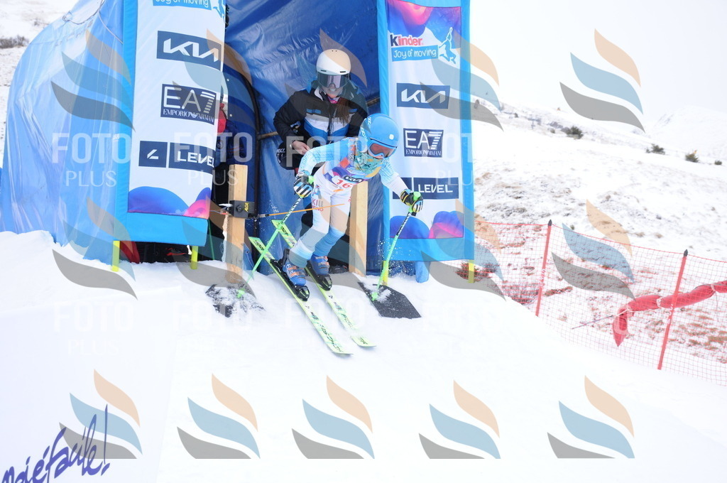 DSC_8856 | holidayphoto