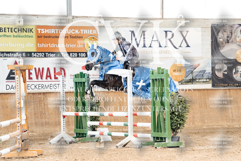 CK905422 | Turnierfotografie Pferdefotografie Trier Rheinland-Pfalz Pferdesport Reitsport Tierfotografie Sportfotografie Pferdevideo Pferdevideografie Equestrianvideography equestrianphotography  - Realisiert mit Pictrs.com