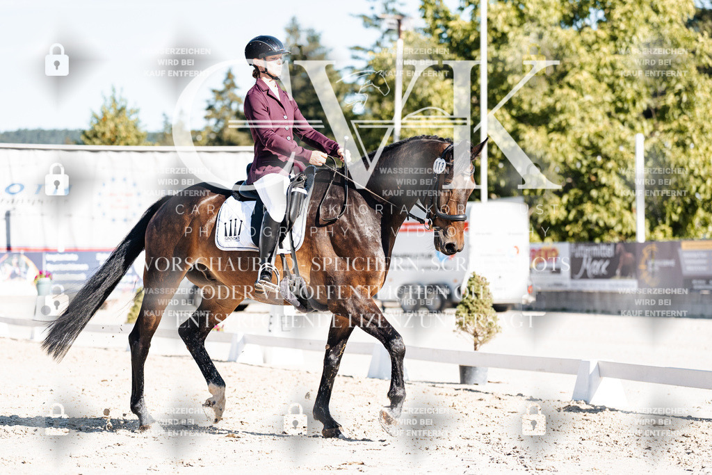 CK907585 | Turnierfotografie Pferdefotografie Trier Rheinland-Pfalz Pferdesport Reitsport Tierfotografie Sportfotografie Pferdevideo Pferdevideografie Equestrianvideography equestrianphotography  - Realisiert mit Pictrs.com