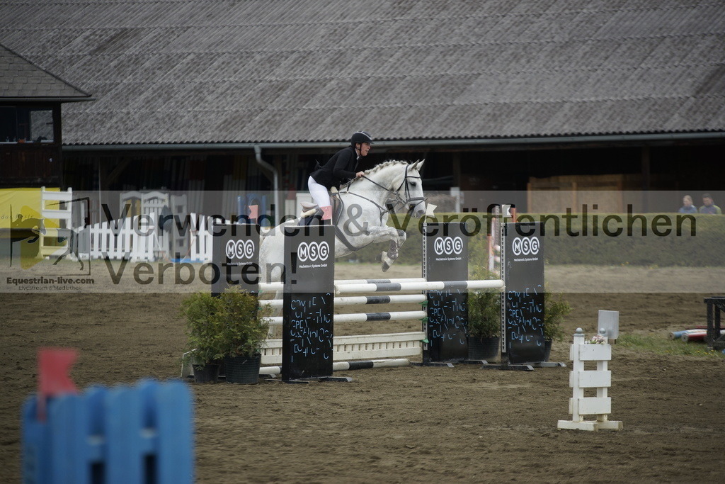 _DSC7256 | equestrian-live-com