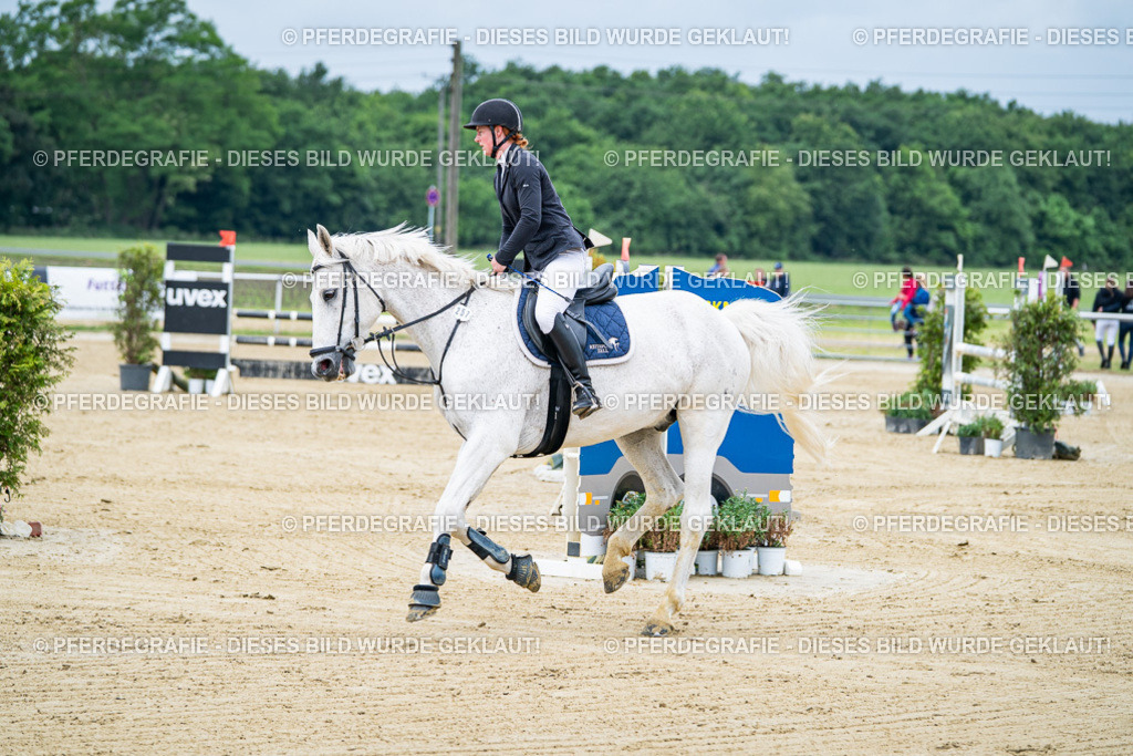 DSC03598 | Pferdegrafie