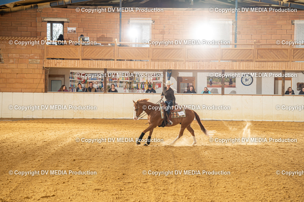 MIT00643 | dv-media-shop - Realisiert mit Pictrs.com