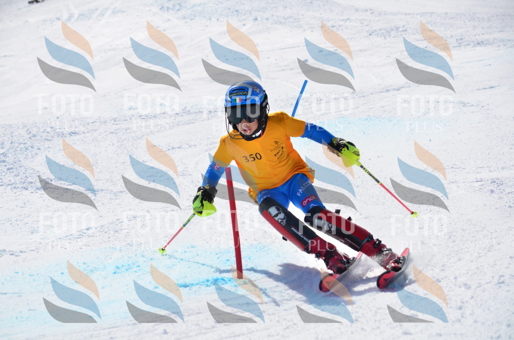 C9786 | holidayphoto