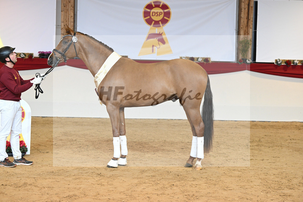 Kat-Nr. 78 Viva Gold_Casper u Eulich_1232191 | hf-fotografie - Realisiert mit Pictrs.com