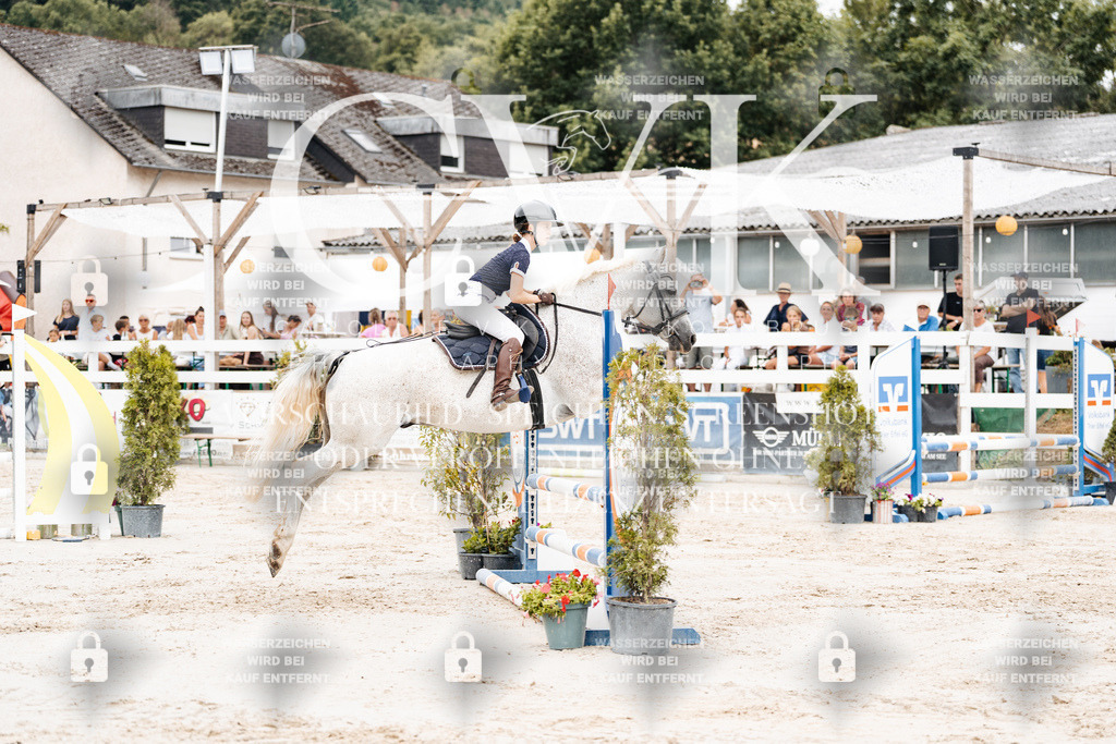CK908064 | Turnierfotografie Pferdefotografie Trier Rheinland-Pfalz Pferdesport Reitsport Tierfotografie Sportfotografie Pferdevideo Pferdevideografie Equestrianvideography equestrianphotography  - Realisiert mit Pictrs.com