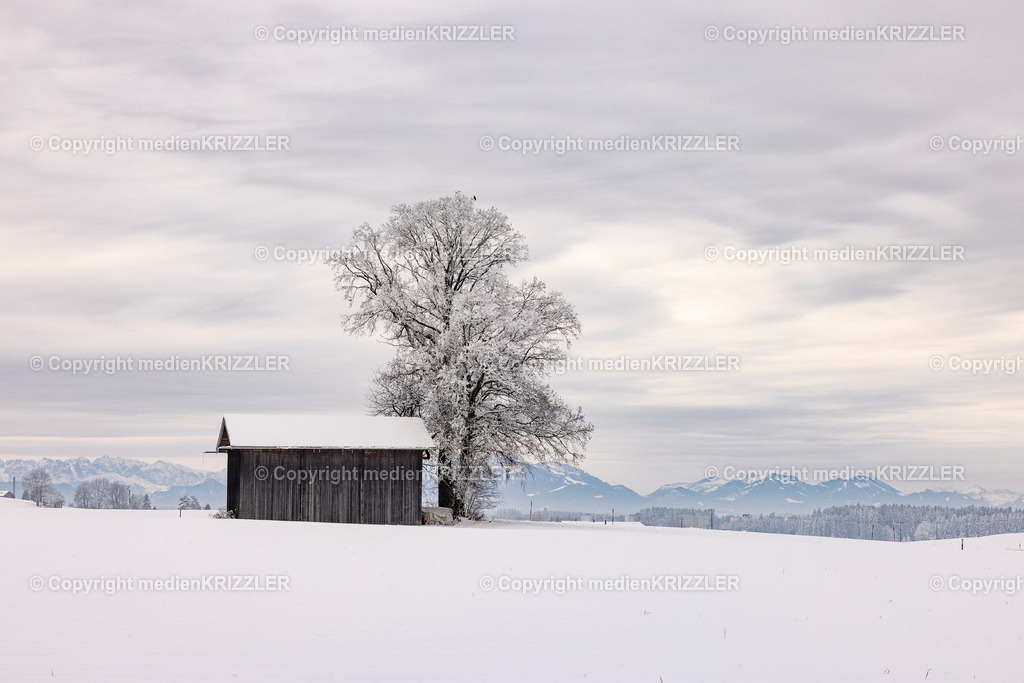 _J3A9689 | medienkrizzler - Realisiert mit Pictrs.com