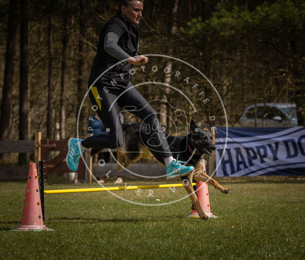 Pfotenfotografie_DV3A3310 | Hundefotografie, Tierfotograf, Pfotenfotografie, Fotoshooting Hund, Hunde Portrait, Hundesport, Hundeportraits, Heideshooting, Hunde, Sportfotograf, Hundefotograf, Turnierhundsport, THS,  - Realisiert mit Pictrs.com