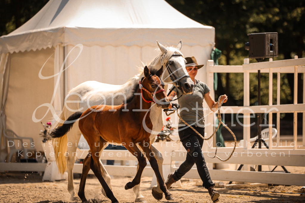 03.DoAB00075 | Leoni Ertmer Photography - Realisiert mit Pictrs.com