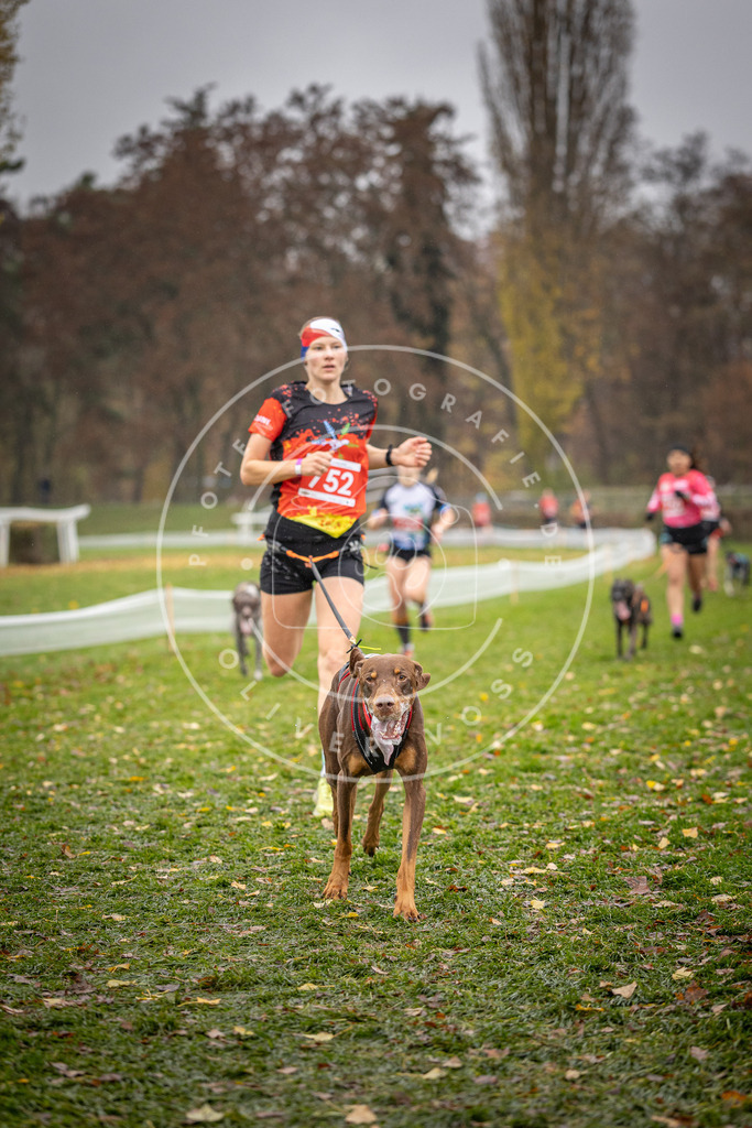 CaniXpix_DV3A9302 | Hundefotografie, Tierfotograf, Pfotenfotografie, Fotoshooting Hund, Hunde Portrait, Hundesport, Hundeportraits, Heideshooting, Hunde, Sportfotograf, Hundefotograf, Turnierhundsport, THS,  - Realisiert mit Pictrs.com