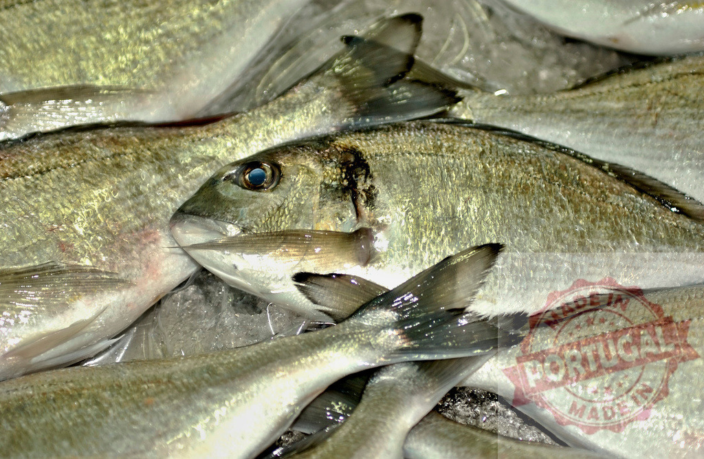 Fresh sea bream on ice at fish market | Fresh sea bream on ice for sale at a local fish market - Realized with Pictrs.com