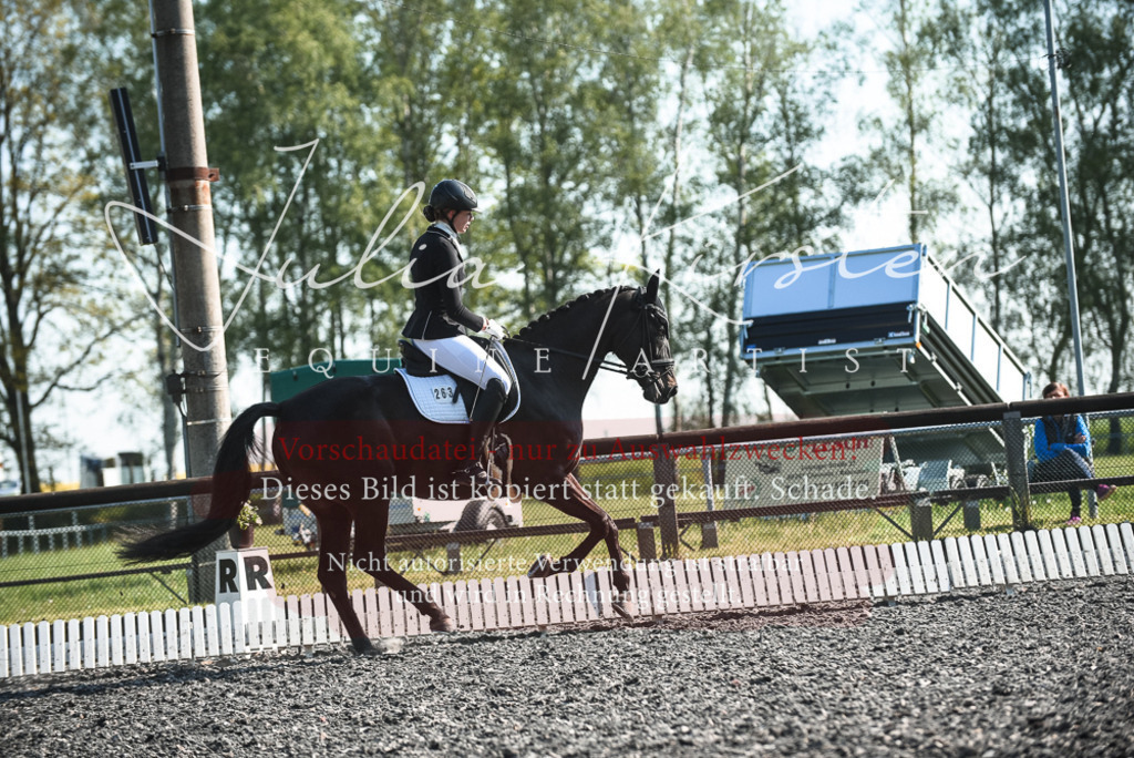 DSC_8390 | Pferde- und Turnierfotografie in Westsachsen. Pferdeportraits, Auftragszeichnungen und intuitive Kunst.