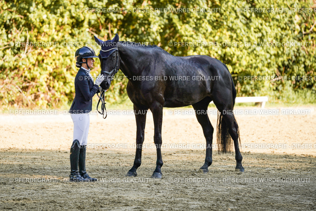 DSC06464 | Pferdegrafie