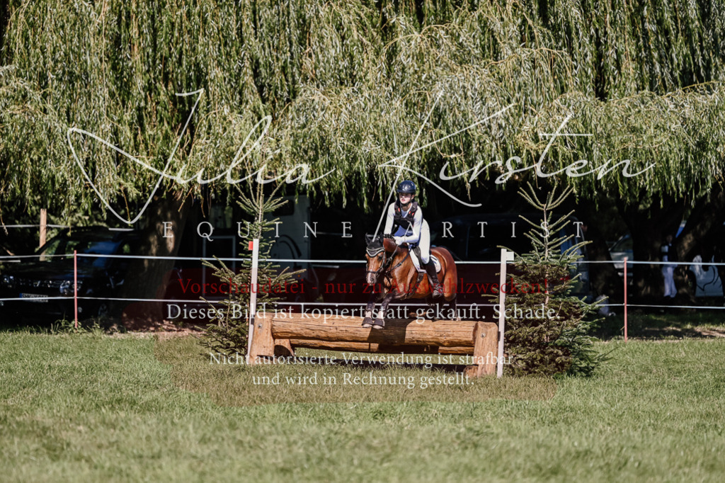 DSC_2945 | Pferde- und Turnierfotografie in Westsachsen. Pferdeportraits, Auftragszeichnungen und intuitive Kunst.