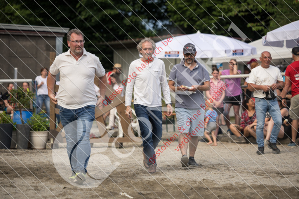 IMG_8399 | Sport-, Event- und Tierfotos in Profiqualität. Einfach auswählen, bestellen und herunterladen. Dein Moment – perfekt festgehalten.