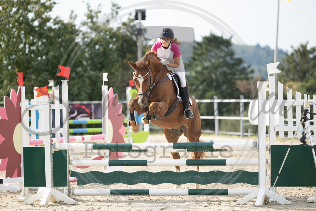 994A2015 | sabrinanicolaifotografie - Realisiert mit Pictrs.com