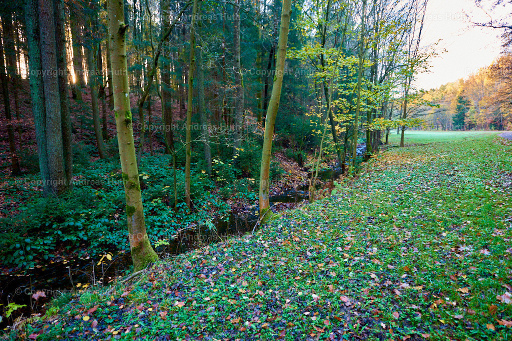 Am Seerenbach 01 | Bedeutsame Landschaften Deutschlands - Realisiert mit Pictrs.com