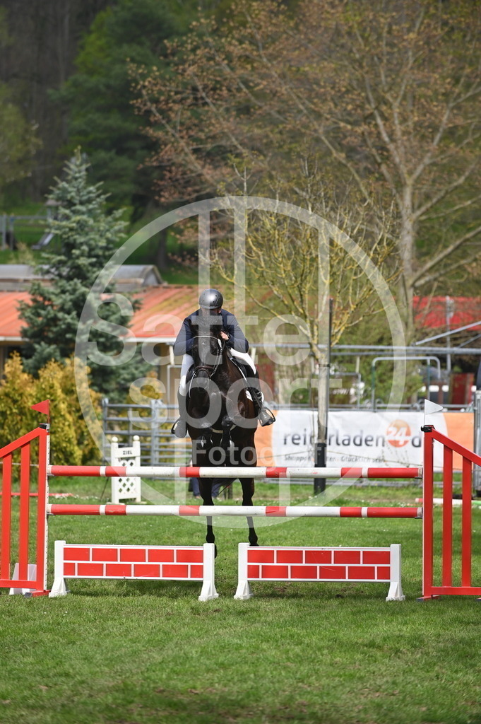 DSC_3920 | sattelsport - Realisiert mit Pictrs.com