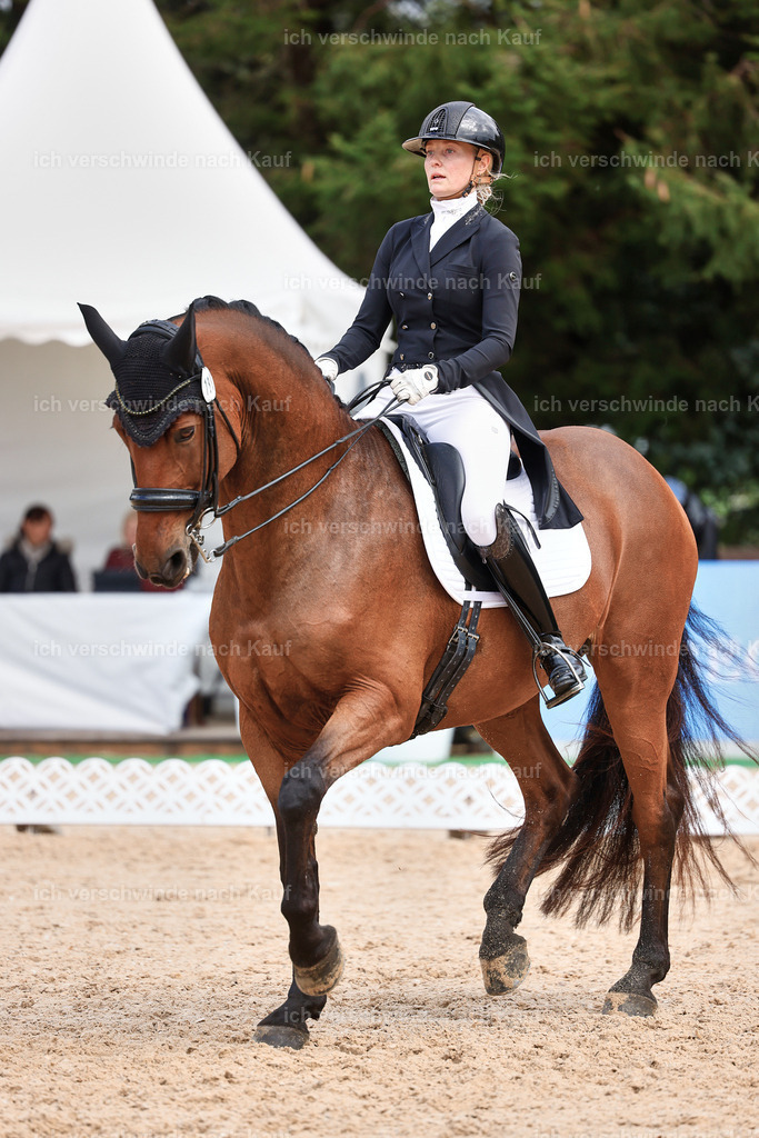 07-189-DRESSUR  S___  -StoibPH-5055 | working equitationturnier fotograf videograf stoibphotography marixx film working equitation deutschland reitsport turnierfotografie eventfotografie equestrian events