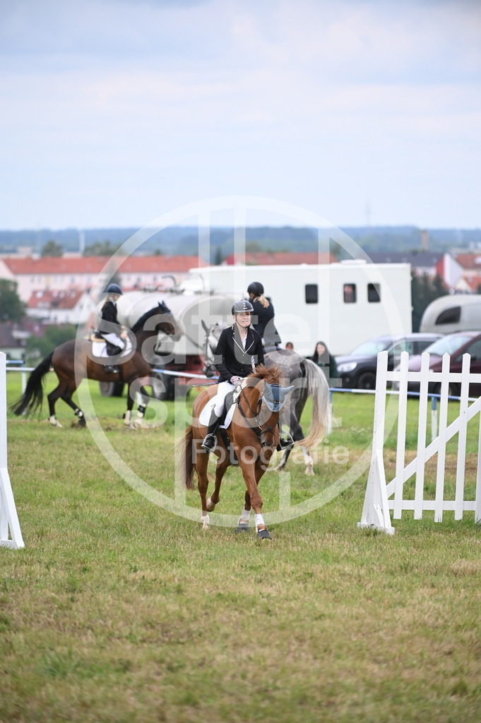 DSC_1134 | sattelsport - Realisiert mit Pictrs.com