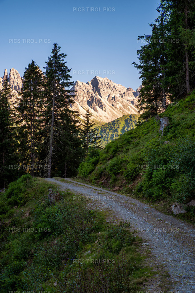 DSC_0347-Verbessert-RR-Bearbeitet | Tirolpics