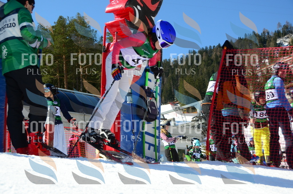 C6254 | holidayphoto