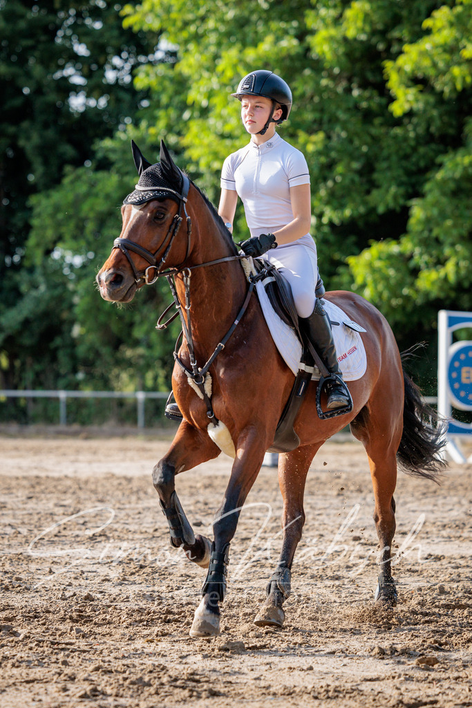 20260529-_3LI0917 | Tierfotografie Pferde, Hunde, Katzen, Haustiere.
Turnierfotografie Reitturniere, Reiten, Springreiten, Dressur in Hanau, dem Main-Kinzig-Kreis und dem Rhein-Main- Gebiet um Frankfurt