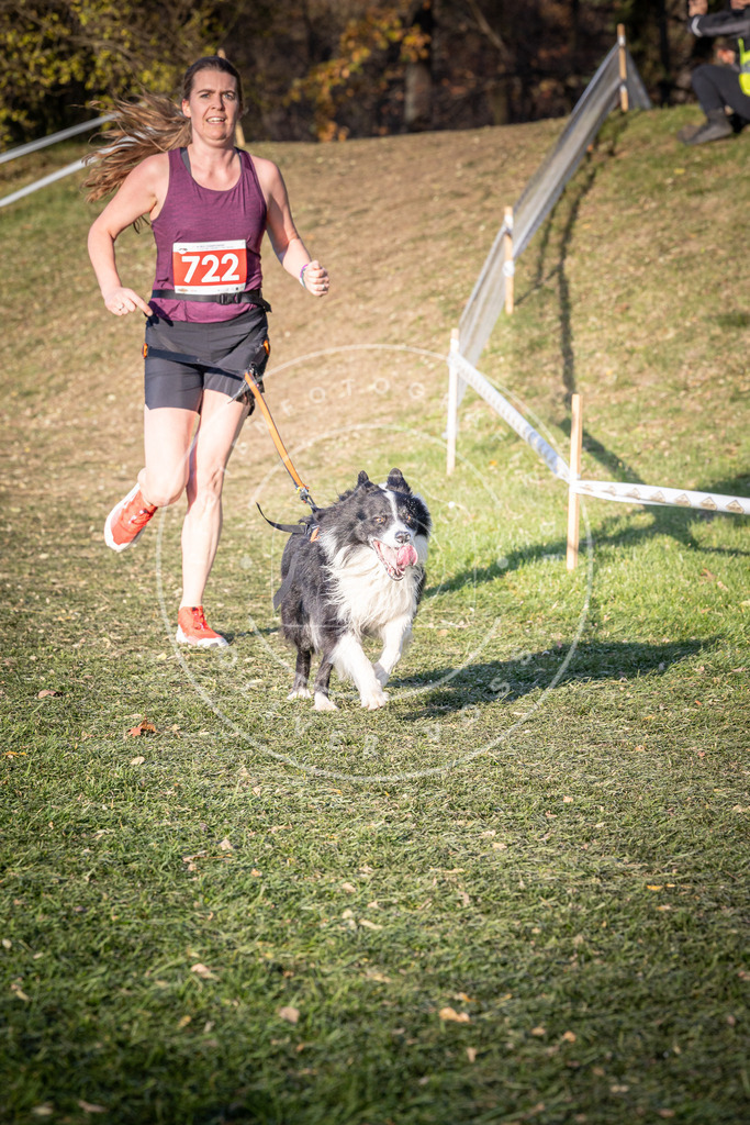 CaniXpix_0L8A9701 | Hundefotografie, Tierfotograf, Pfotenfotografie, Fotoshooting Hund, Hunde Portrait, Hundesport, Hundeportraits, Heideshooting, Hunde, Sportfotograf, Hundefotograf, Turnierhundsport, THS,  - Realisiert mit Pictrs.com