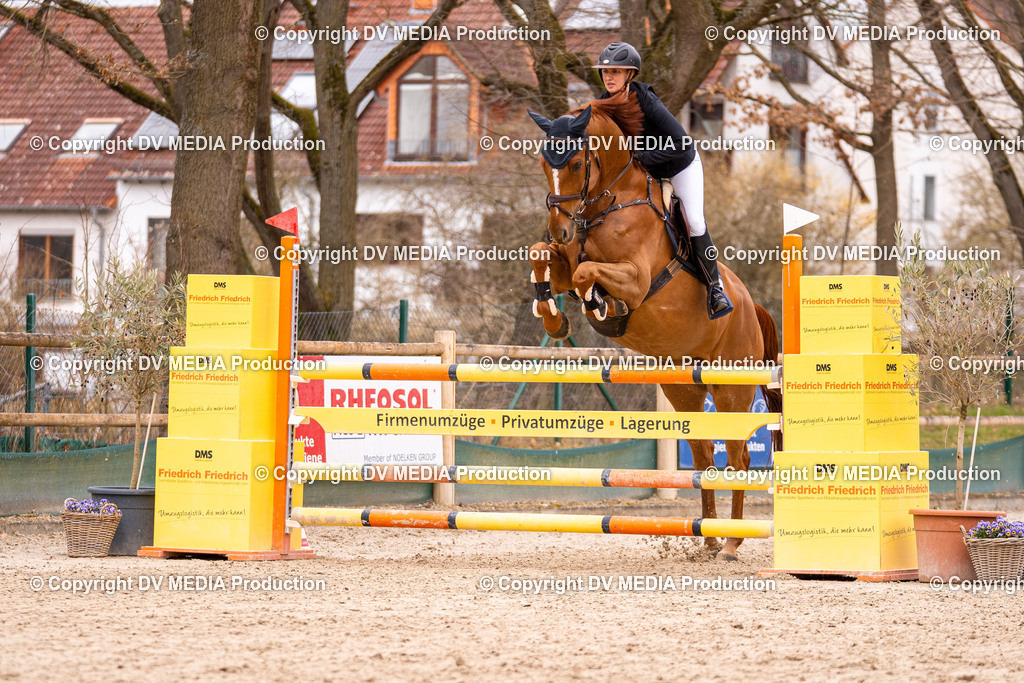 Kranichstein Tag 2-474 | dv-media-shop - Realisiert mit Pictrs.com