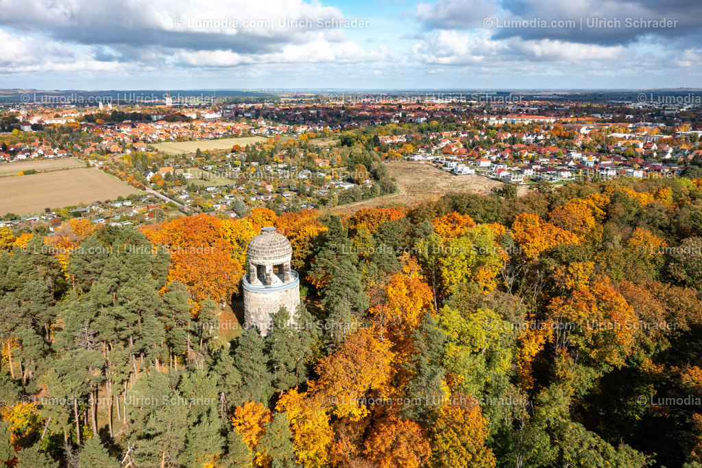 10049-52147 - Herbststimmung in den Spiegelsbergen | Stockfoto und Bilderpool mit Bildmaterial aus Deutschland, dem Harz, Halberstadt, Quedlinburg, Wernigerode und weltweit. Qualitativ hochwertige und professionelle Fotos anschauen und kaufen. - Realisiert mit Pictrs.com
