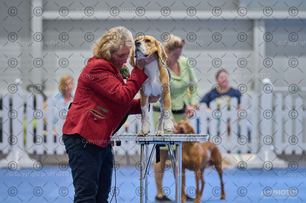 202406_ÖKV-IHA-Tulln24_DSC_5339 | proPHOTO - Realisiert mit Pictrs.com