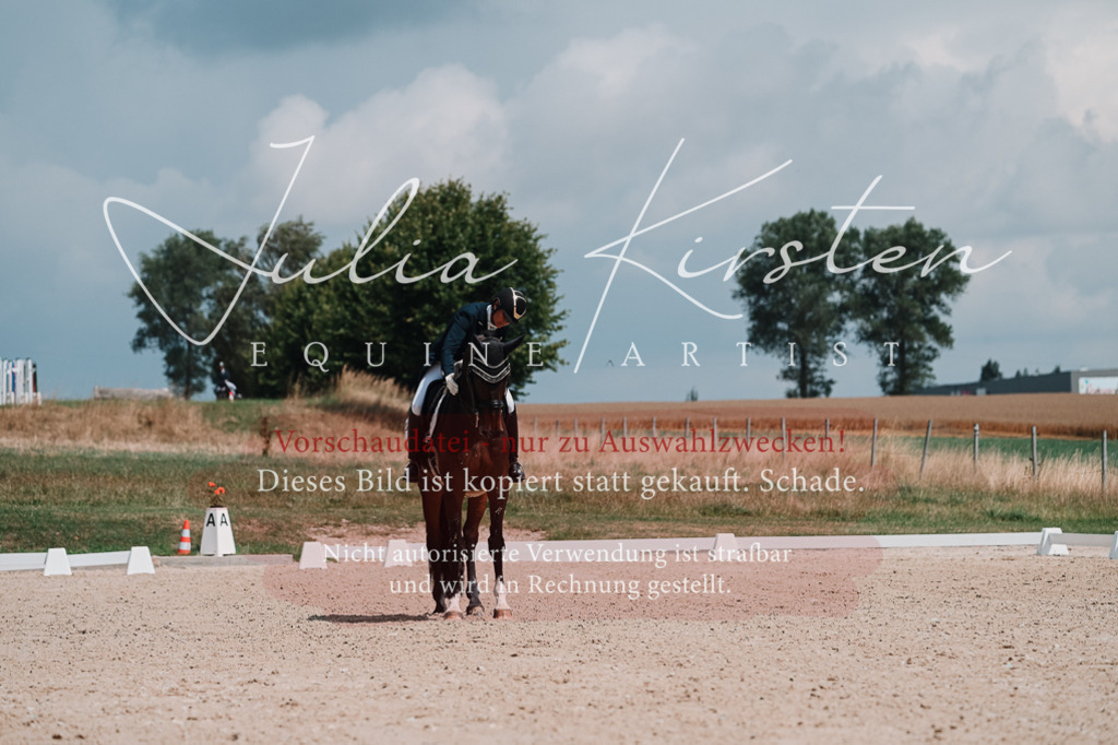 DSC_3893 | Pferde- und Turnierfotografie in Westsachsen. Pferdeportraits, Auftragszeichnungen und intuitive Kunst.