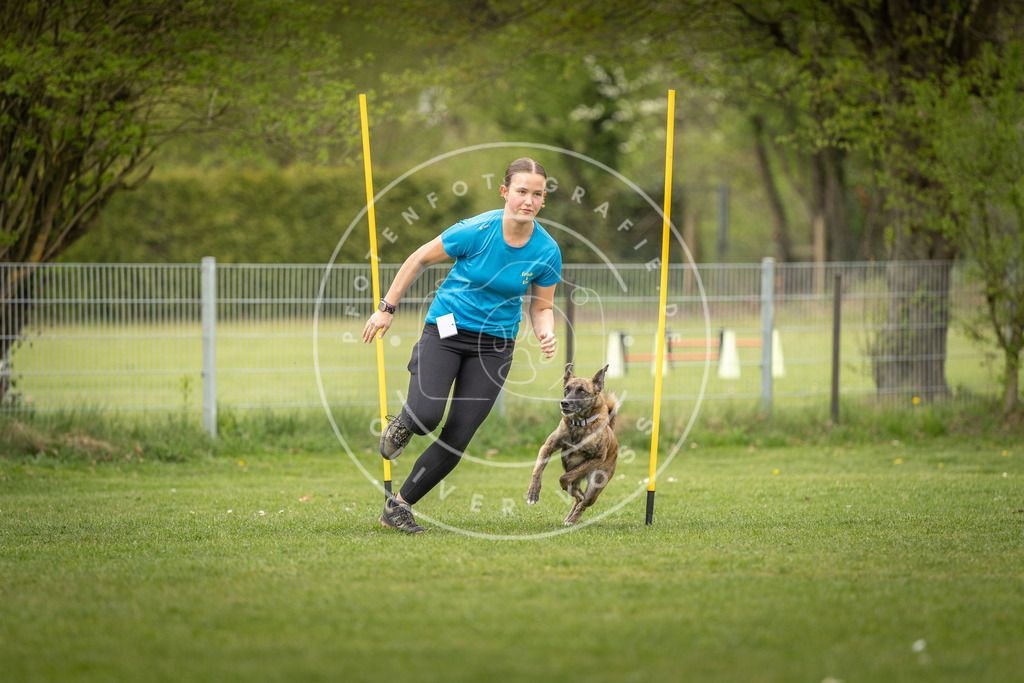 Pfotenfotografie_DV3A1804 | Hundefotografie, Tierfotograf, Pfotenfotografie, Fotoshooting Hund, Hunde Portrait, Hundesport, Hundeportraits, Heideshooting, Hunde, Sportfotograf, Hundefotograf, Turnierhundsport, THS,  - Realisiert mit Pictrs.com