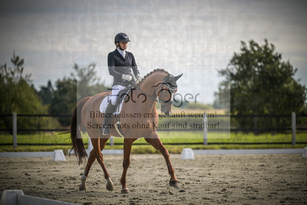 DOS_0961 | Entdecke hochwertige Reitturnierfotos von Foto Oger. Professionell, emotional und authentisch – jetzt Lieblingsmomente im Shop bestellen.Deutschlandweite Turnierfotografie. - Realisiert mit Pictrs.com