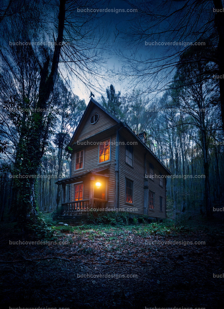 Altes Hause im wald | Entdecken Sie kreative Buch Cover Designs für Self-Publishing-Autoren und Verlage! Unsere maßgeschneiderten Designs ziehen Leser an und bringen Ihre Geschichten visuell zum Leben. Lassen Sie uns Ihr perfektes Cover gestalten!