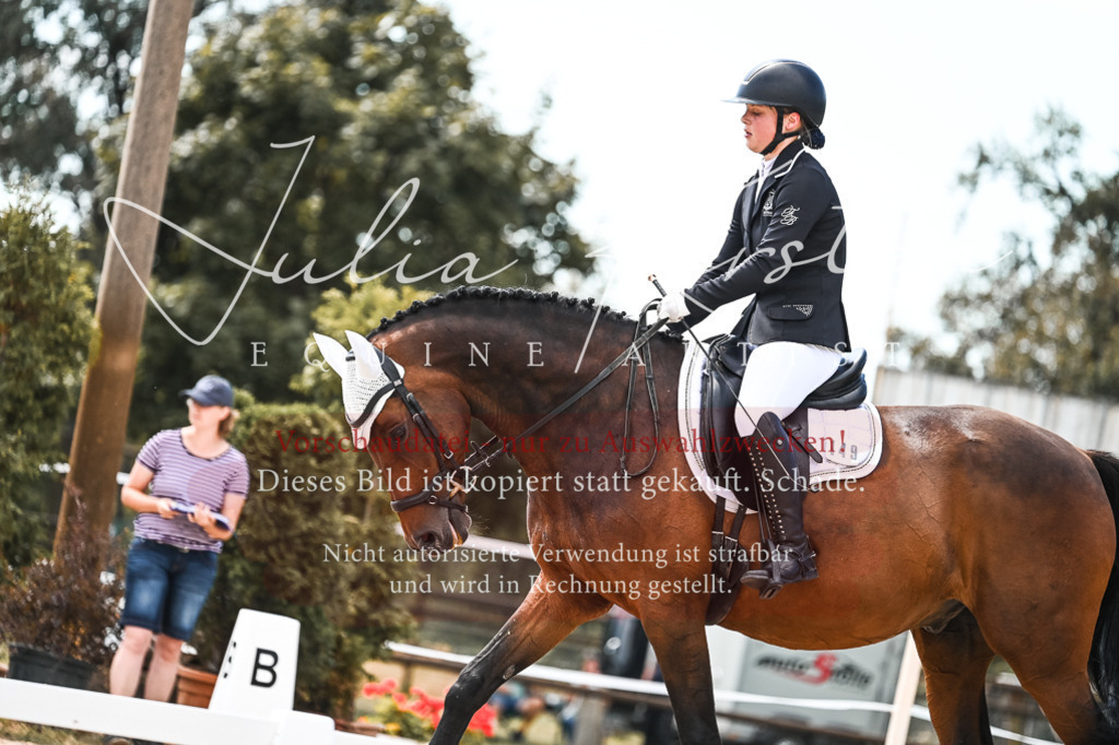 DSC_5680 | Pferde- und Turnierfotografie in Westsachsen. Pferdeportraits, Auftragszeichnungen und intuitive Kunst.