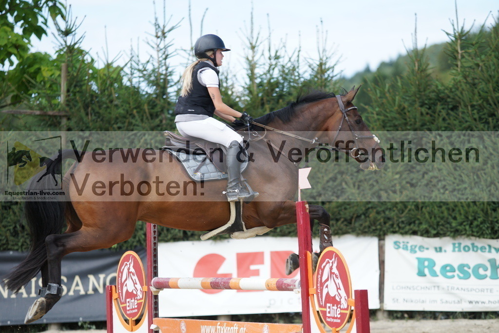 DSC01239 | equestrian-live-com