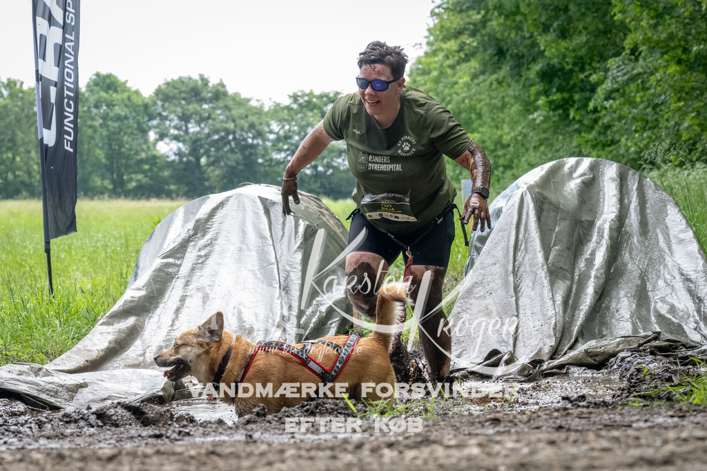 1109_ZZ91618-Bearbeitet | kk-dogfotos