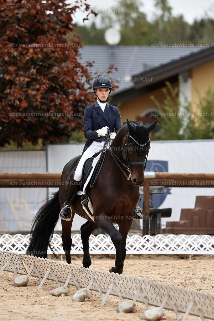 11-123-Dressur S___-StoibPH-1384 | working equitationturnier fotograf videograf stoibphotography marixx film working equitation deutschland reitsport turnierfotografie eventfotografie equestrian events