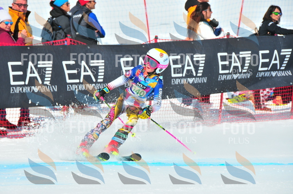 DSC_1169 | holidayphoto