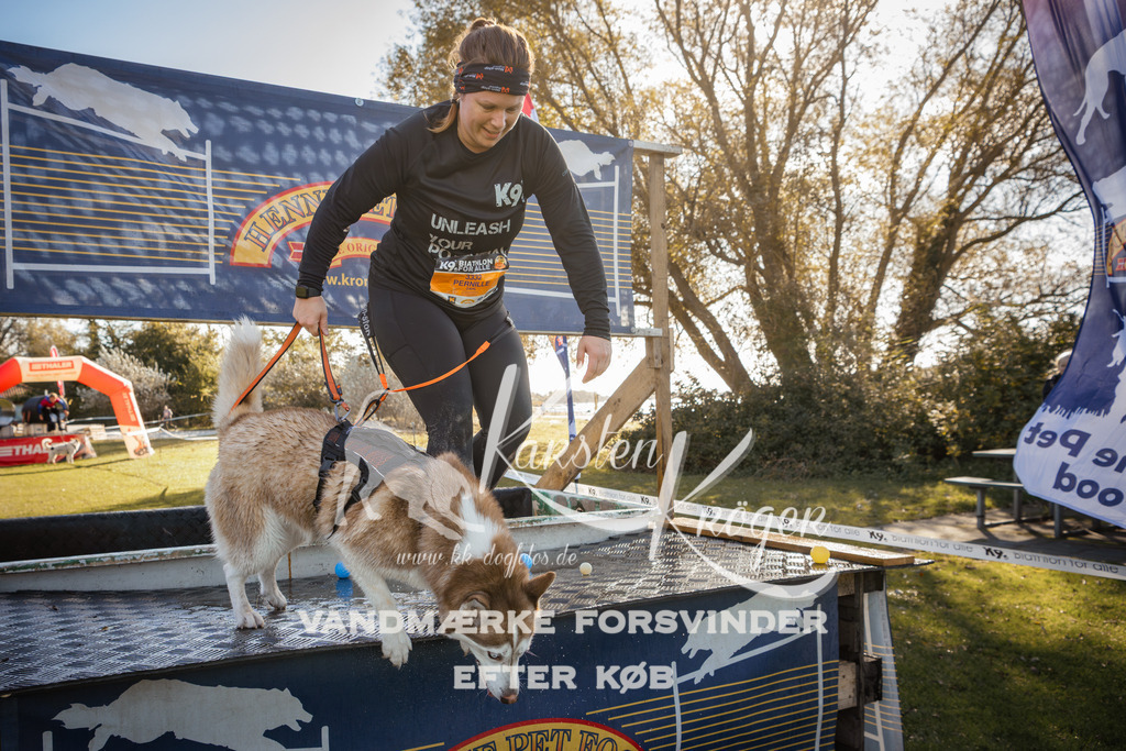 1227_ZZ96377-2 | kk-dogfotos