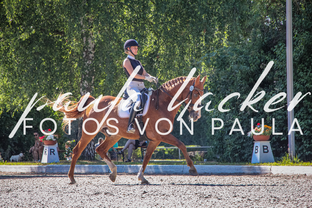 IMG_0003 | Erleben Sie dynamische Sport- und emotionale Tierfotografie in Süddeutschland mit Fotos von Paula. Spezialisiert auf Pferde- und Hundefotografie sowie Sportevents. Kontaktieren Sie mich für einzigartige und ausdrucksstarke Bilder Ihrer besonderen Momente.