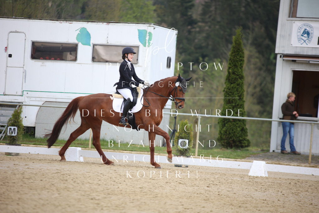 IMGT6660 | pl-fotografie