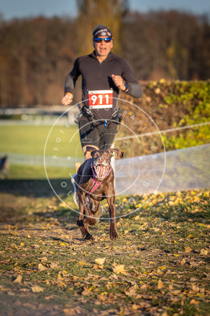 CaniXpix_DV3A4775 | Hundefotografie, Tierfotograf, Pfotenfotografie, Fotoshooting Hund, Hunde Portrait, Hundesport, Hundeportraits, Heideshooting, Hunde, Sportfotograf, Hundefotograf, Turnierhundsport, THS,  - Realisiert mit Pictrs.com