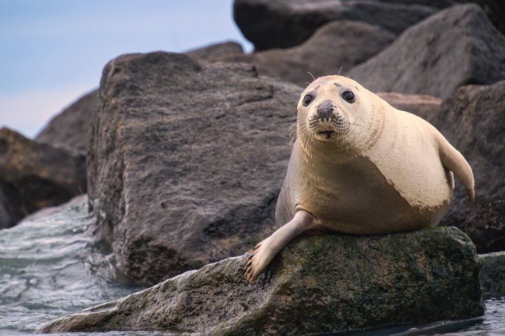 ZFC_7415 | Unvergessliche Erinnerungen in Bildern festgehalten! Ob Hochzeit, Shooting oder Landschaft  - Ich bin dein Fotograf in Erfurt und Umgebung! Photo-Rauch | Sandro Rauch - Realisiert mit Pictrs.com